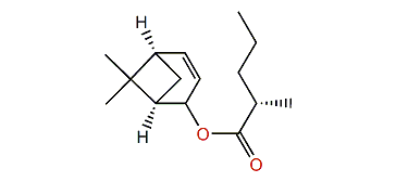 trans-Verbenyl 2-methylbutyrate